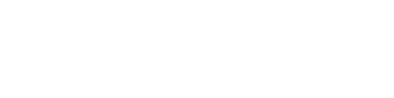Federal security command